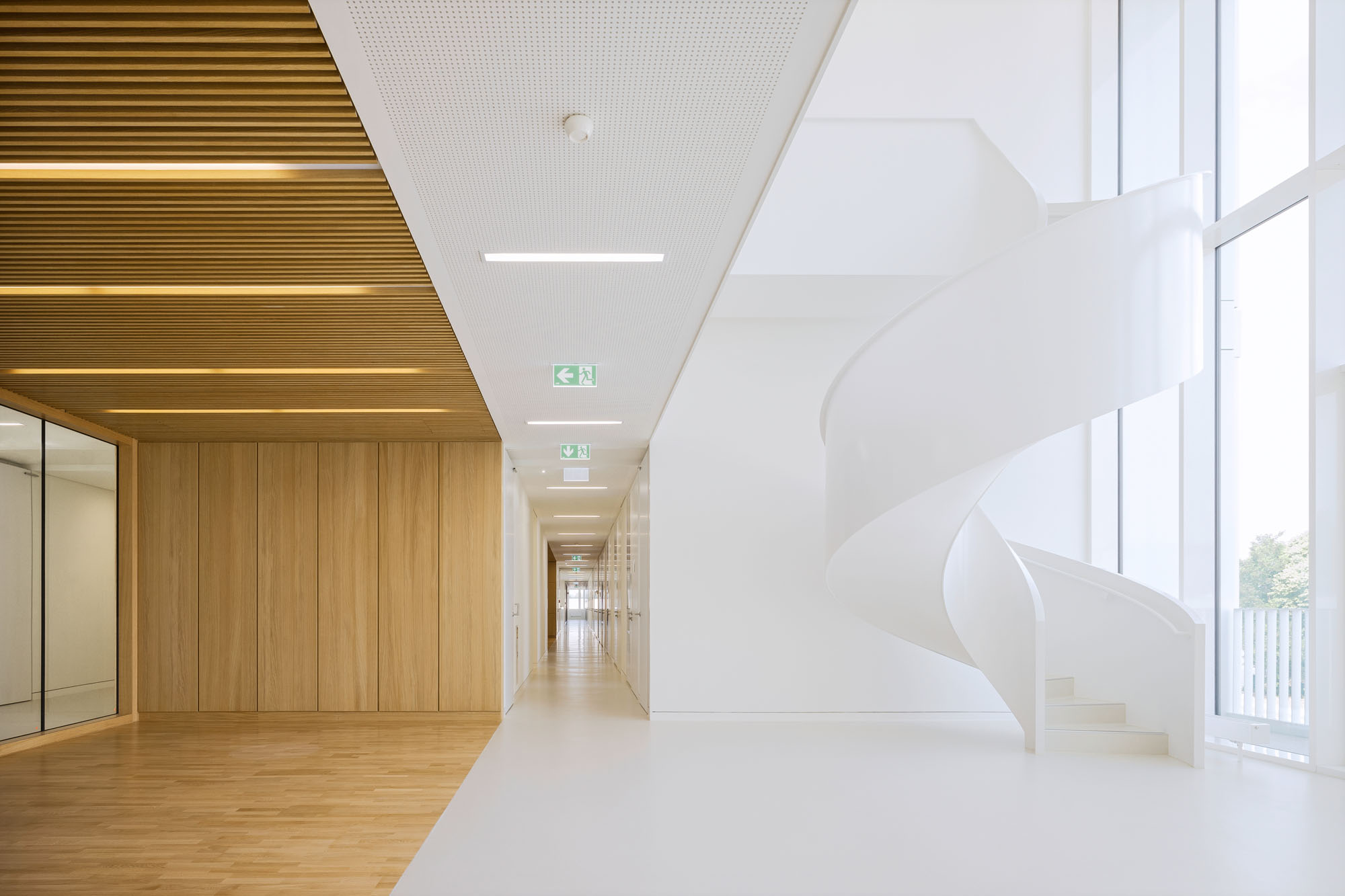 Forschungszentrum MAIN, TU Chemnitz, Innenansicht geschwungene Verbindungstreppe zur Galerie