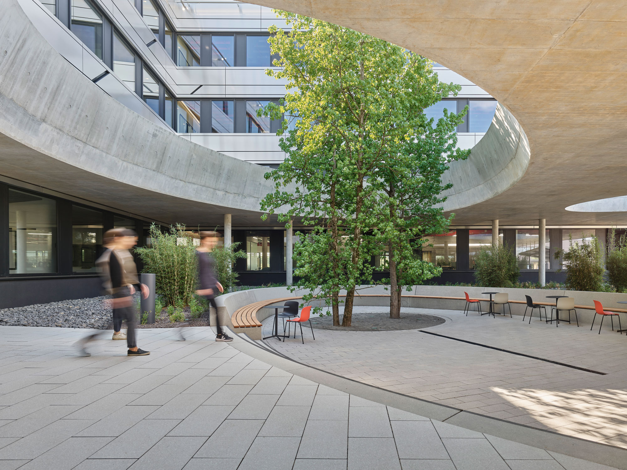 Außenperspektive organischer Innenhof mit mittig gepflanzten Bäumen der Firmenzentrale Schweickert