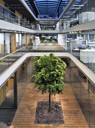 Innenperspektive geschossübergreifendes, begrüntes Atrium mit Kommunikationszonen des Neubaus einer Konzernzentrale in Titisee-Neustadt