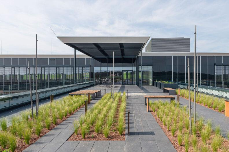 Außenperspektive begrünte Dachterrasse mit Aufenthaltsmöglichkeit auf dem RINGANA Campus