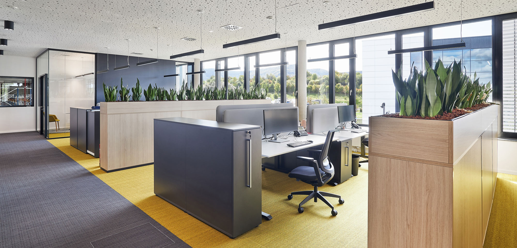 Innenperspektive Büroräumlichkeiten OpenSpace Büro mit gelbem Boden als Farbakzent bei Lechler Metzingen